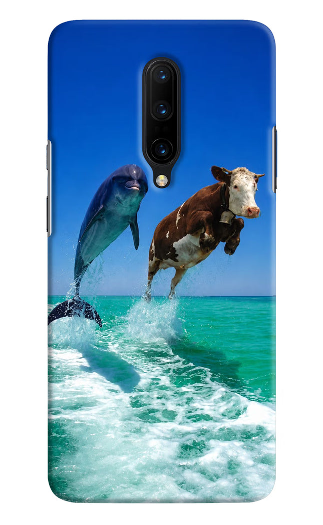 Dolphin vs Cow Oneplus 7 Pro Hard Case Back Cover by Casekaro