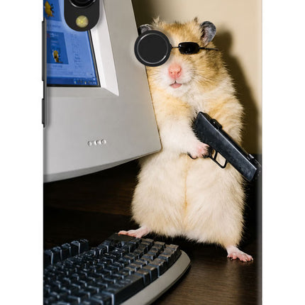 Hacker Hamster Redmi Y3 Hard Case Back Cover by Casekaro