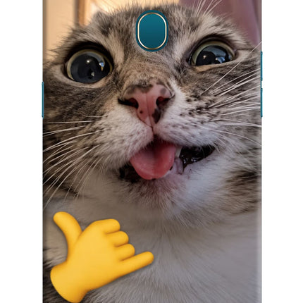 Silly Cat Call Oppo A7/A5s/A12 Hard Case Back Cover by Casekaro