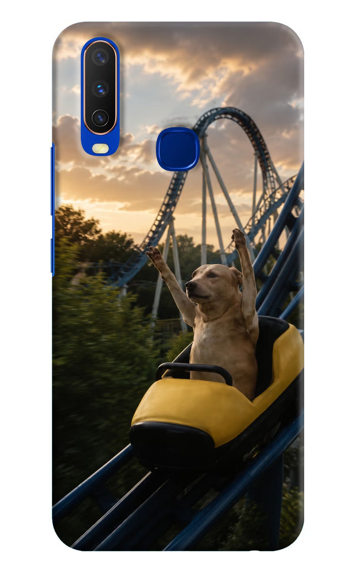 Rollercoaster Dog Vivo Y15/Y17 Back Cover