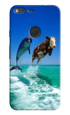 Dolphin vs Cow Google Pixel XL Hard Case Back Cover by Casekaro