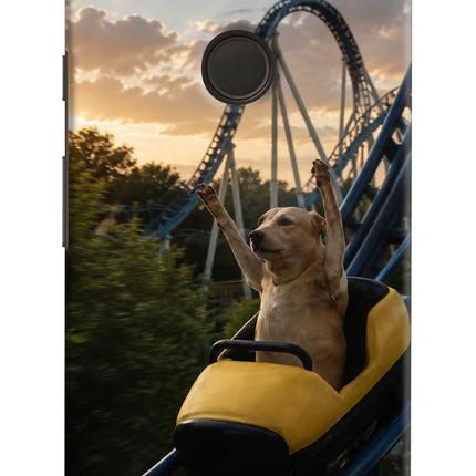 Rollercoaster Dog Google Pixel XL Hard Case Back Cover by Casekaro