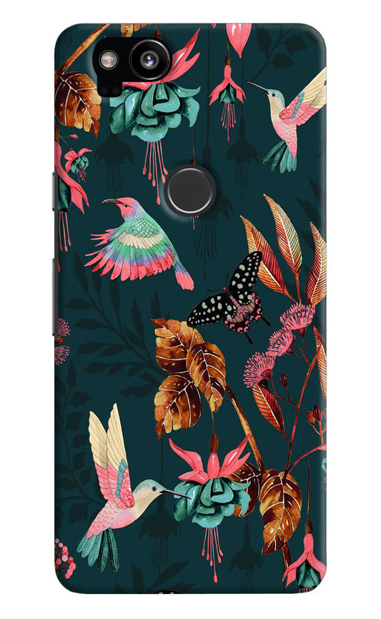 Birds Google Pixel 2 Hard Case Back Cover by Casekaro