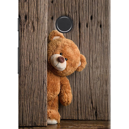 Teddy Wooden Google Pixel 2 Hard Case Back Cover by Casekaro