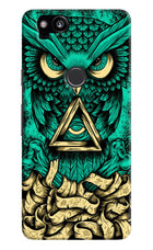Green Owl Google Pixel 2 Hard Case Back Cover by Casekaro
