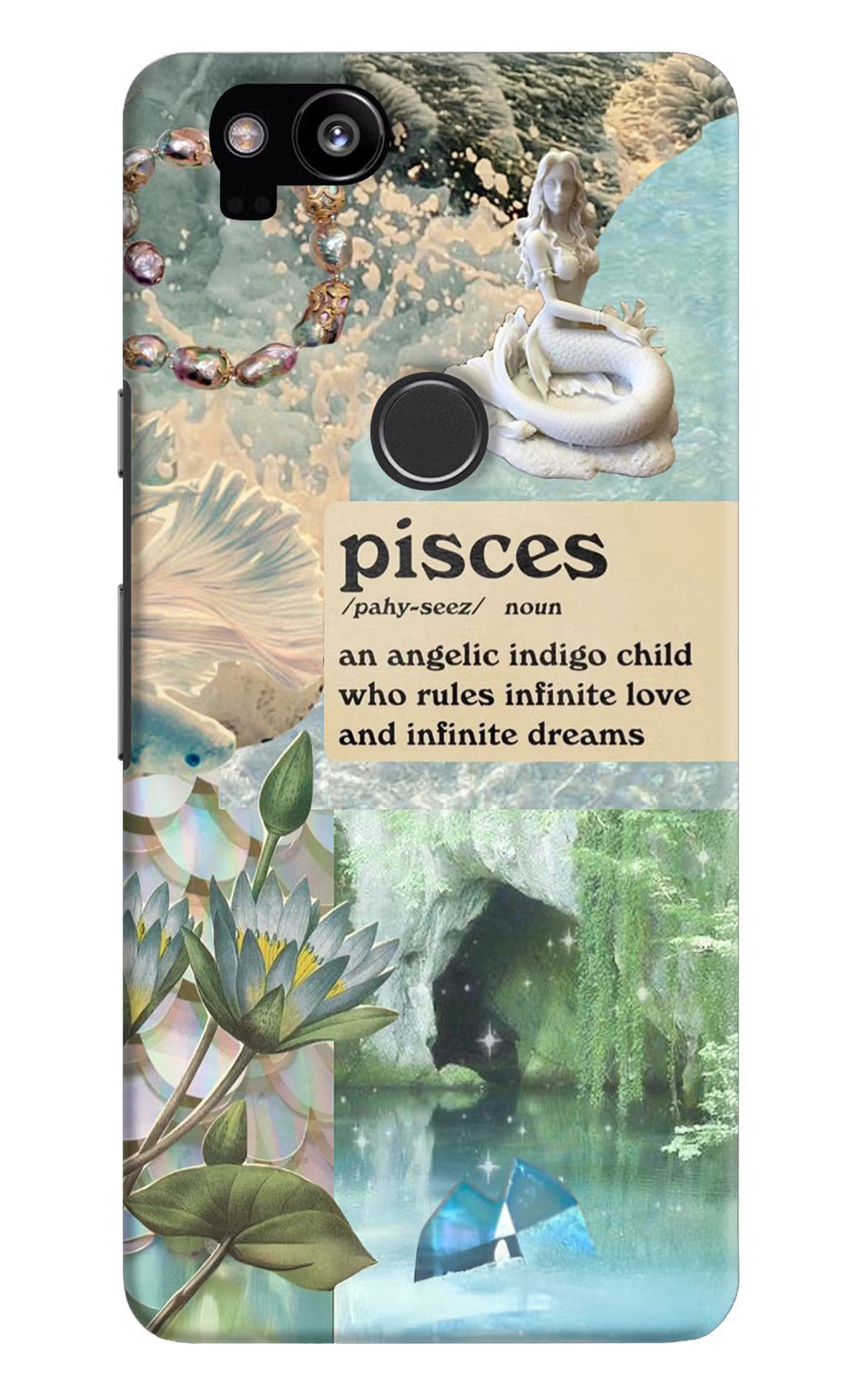 Pisces Zodiac Google Pixel 2 Hard Case Back Cover by Casekaro