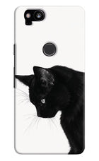 Shadow Gaze Google Pixel 2 Hard Case Back Cover by Casekaro