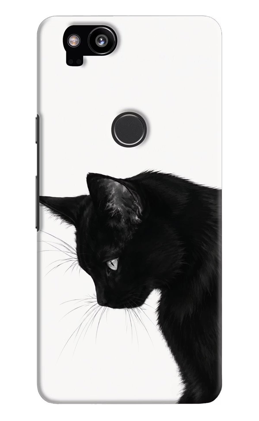 Shadow Gaze Google Pixel 2 Back Cover, Hard case