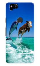 Dolphin vs Cow Google Pixel 2 Hard Case Back Cover by Casekaro
