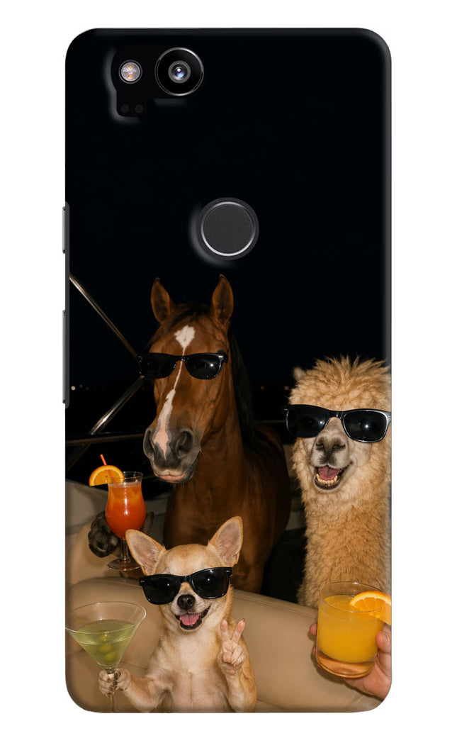 Party Squad Google Pixel 2 Hard Case Back Cover by Casekaro
