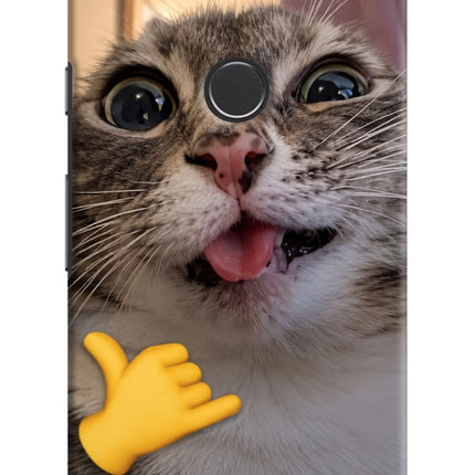 Silly Cat Call Google Pixel 2 Hard Case Back Cover by Casekaro