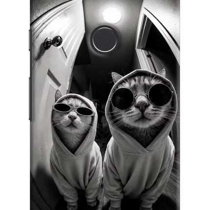 Hood Cats Google Pixel 2 Hard Case Back Cover by Casekaro