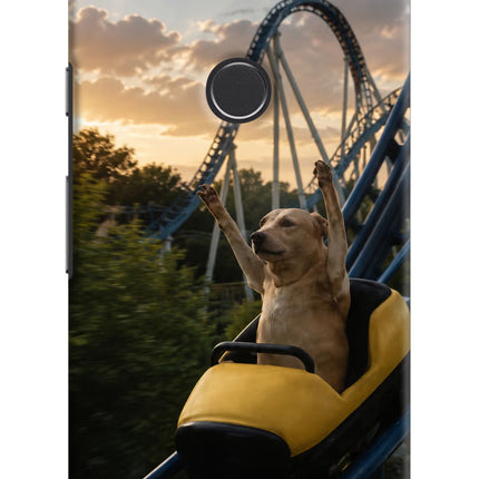 Rollercoaster Dog Google Pixel 2 Hard Case Back Cover by Casekaro
