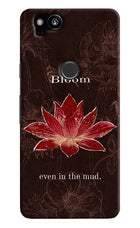 Bloom Google Pixel 2 Hard Case Back Cover by Casekaro