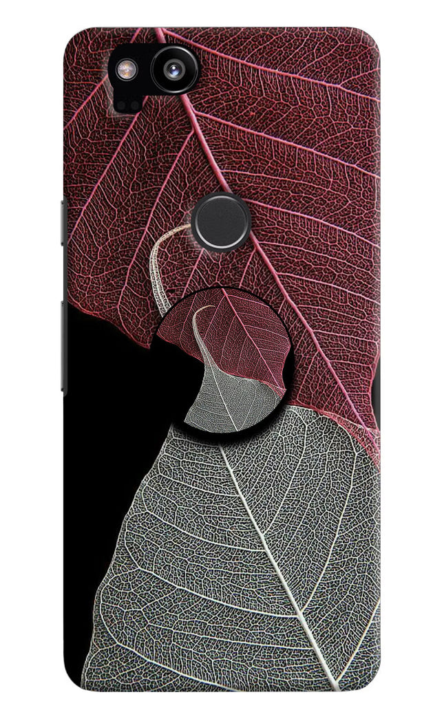 Leaf Pattern Google Pixel 2 Pop Case by Casekaro