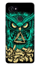 Green Owl Google Pixel 2 XL Hard Case Back Cover by Casekaro