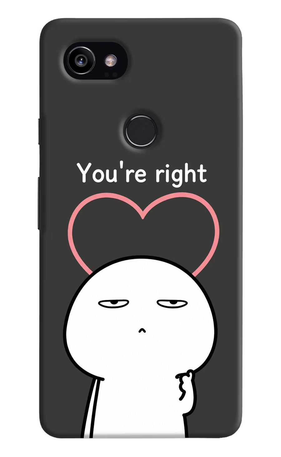 You're Right Google Pixel 2 XL Back Cover, Hard case