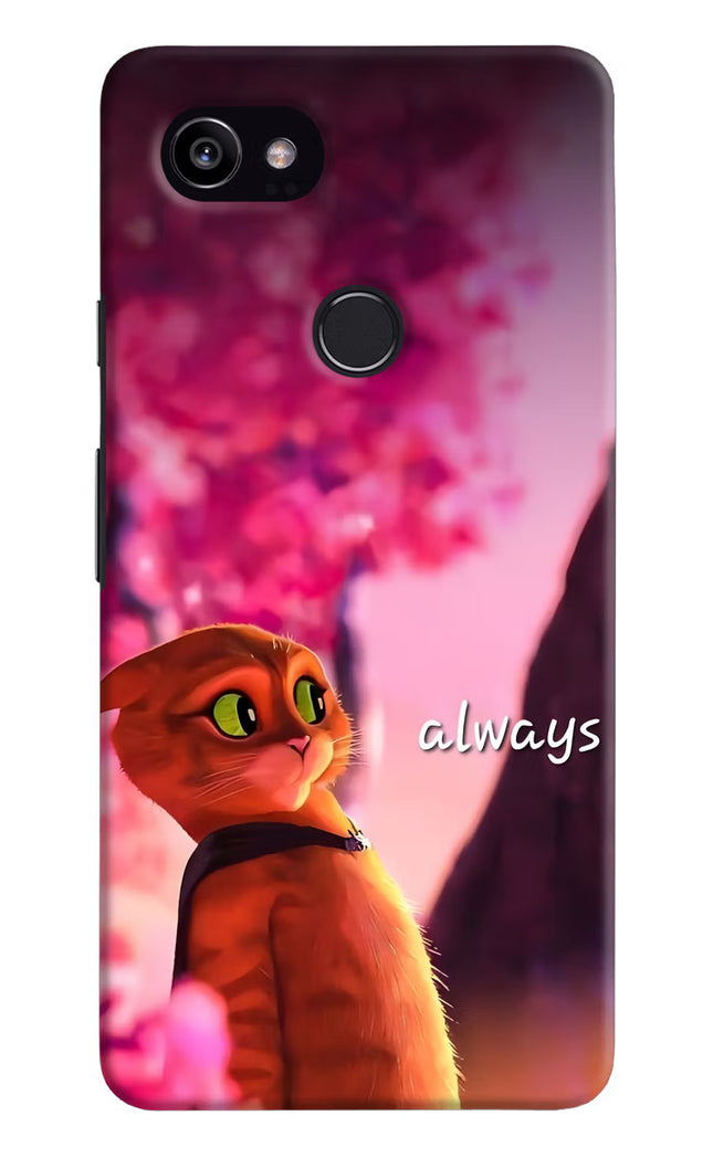 Always Cat Google Pixel 2 XL Hard Case Back Cover by Casekaro