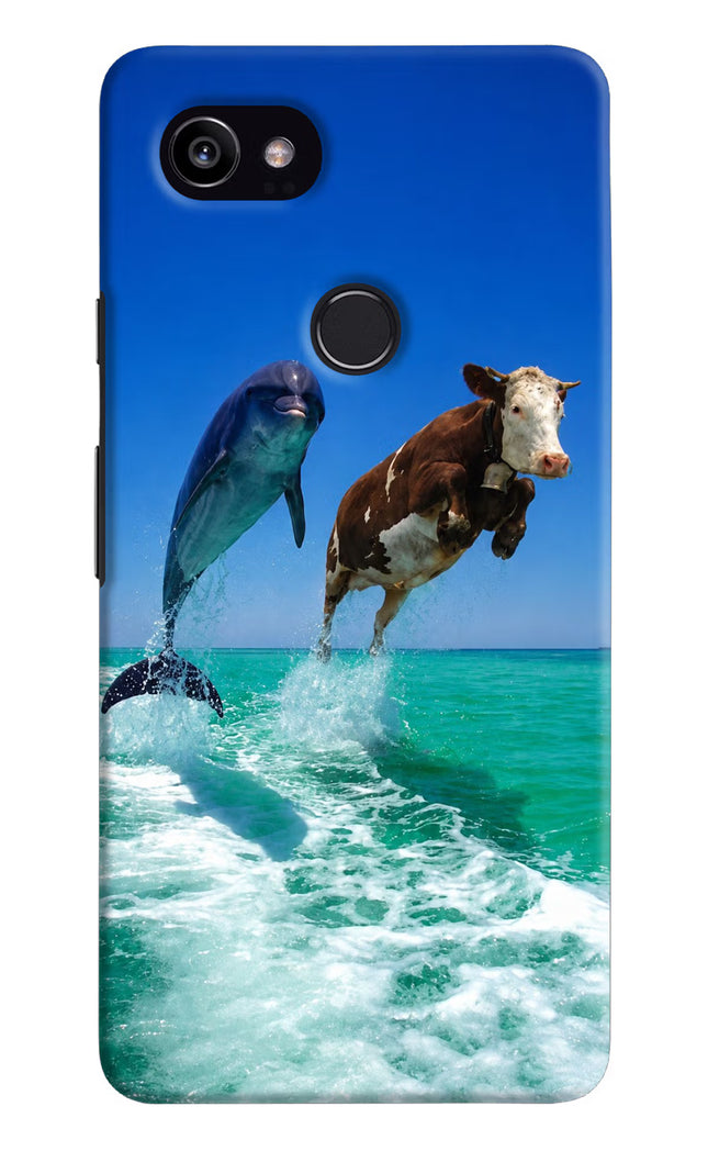 Dolphin vs Cow Google Pixel 2 XL Hard Case Back Cover by Casekaro