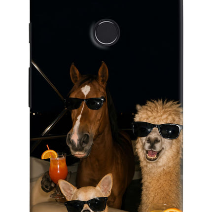 Party Squad Google Pixel 2 XL Hard Case Back Cover by Casekaro
