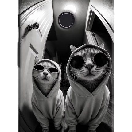 Hood Cats Google Pixel 2 XL Hard Case Back Cover by Casekaro