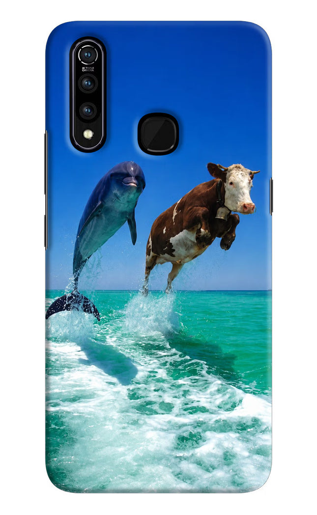 Dolphin vs Cow Vivo Z1 Pro Hard Case Back Cover by Casekaro