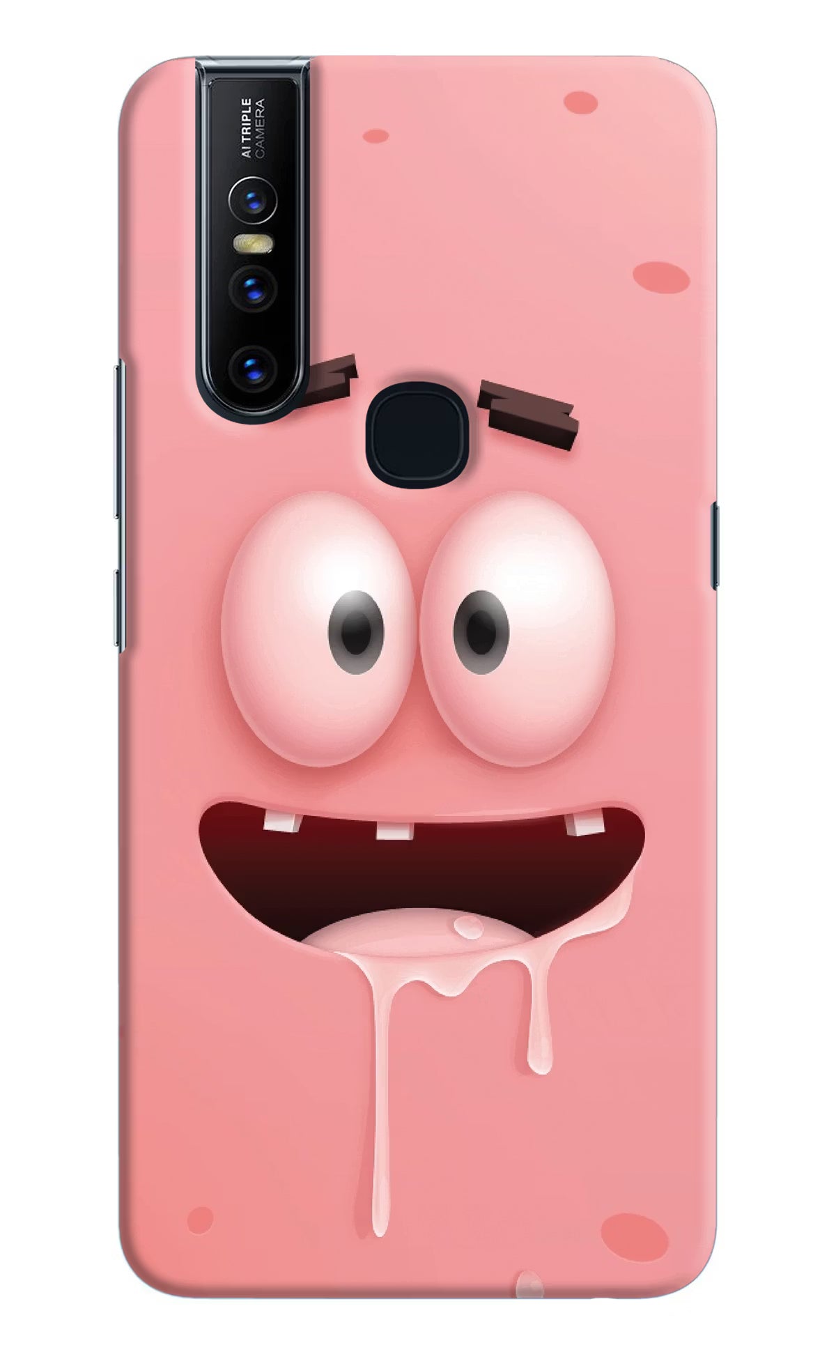 Sponge 2 Vivo V15 Hard Case Back Cover by Casekaro