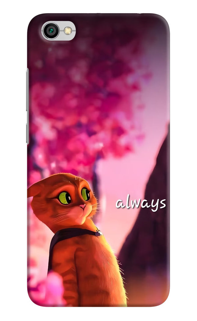Always Cat Redmi Y1 Lite Hard Case Back Cover by Casekaro