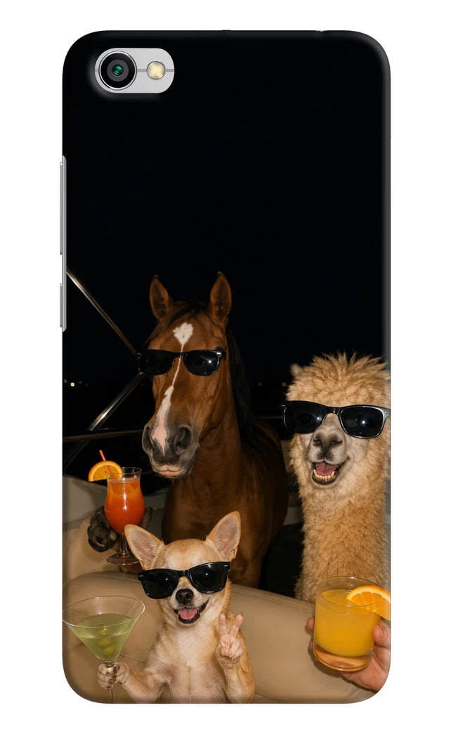 Party Squad Redmi Y1 Lite Hard Case Back Cover by Casekaro