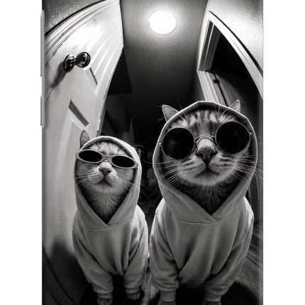 Hood Cats Redmi Y1 Lite Hard Case Back Cover by Casekaro