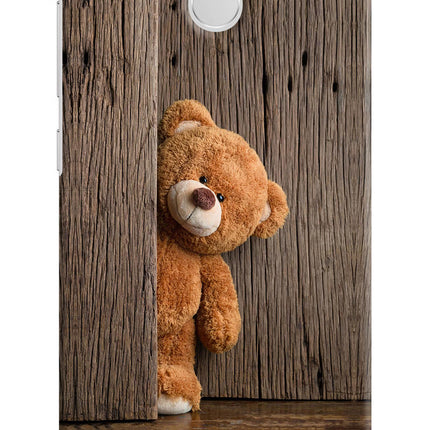 Teddy Wooden Redmi 3S Prime Hard Case Back Cover by Casekaro