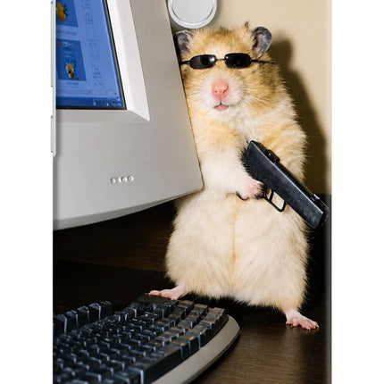 Hacker Hamster Redmi 3S Prime Hard Case Back Cover by Casekaro