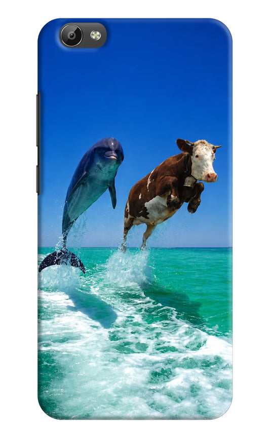 Dolphin vs Cow Vivo Y66 Back Cover