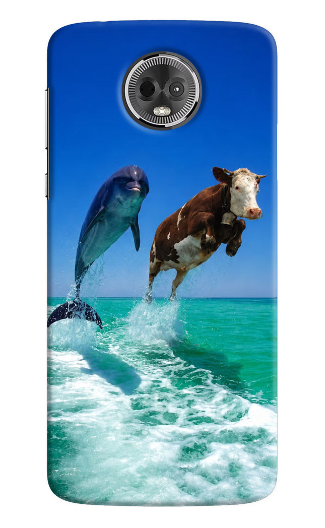 Dolphin vs Cow Moto E5 Plus Hard Case Back Cover by Casekaro