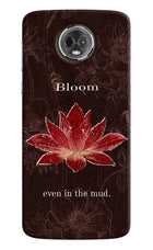 Bloom Moto E5 Plus Hard Case Back Cover by Casekaro