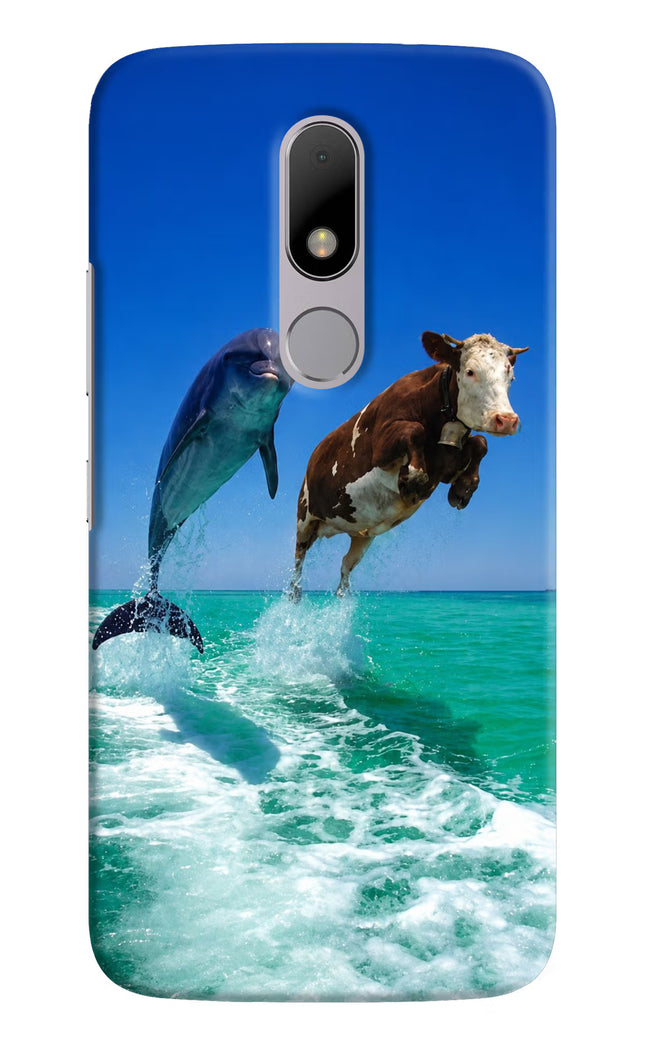 Dolphin vs Cow Moto M Hard Case Back Cover by Casekaro