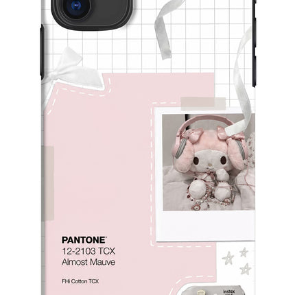 Pantone Asthetic iPhone 11 Hard Case Back Cover by Casekaro