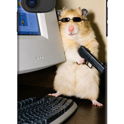 Hacker Hamster iPhone 11 Hard Case Back Cover by Casekaro