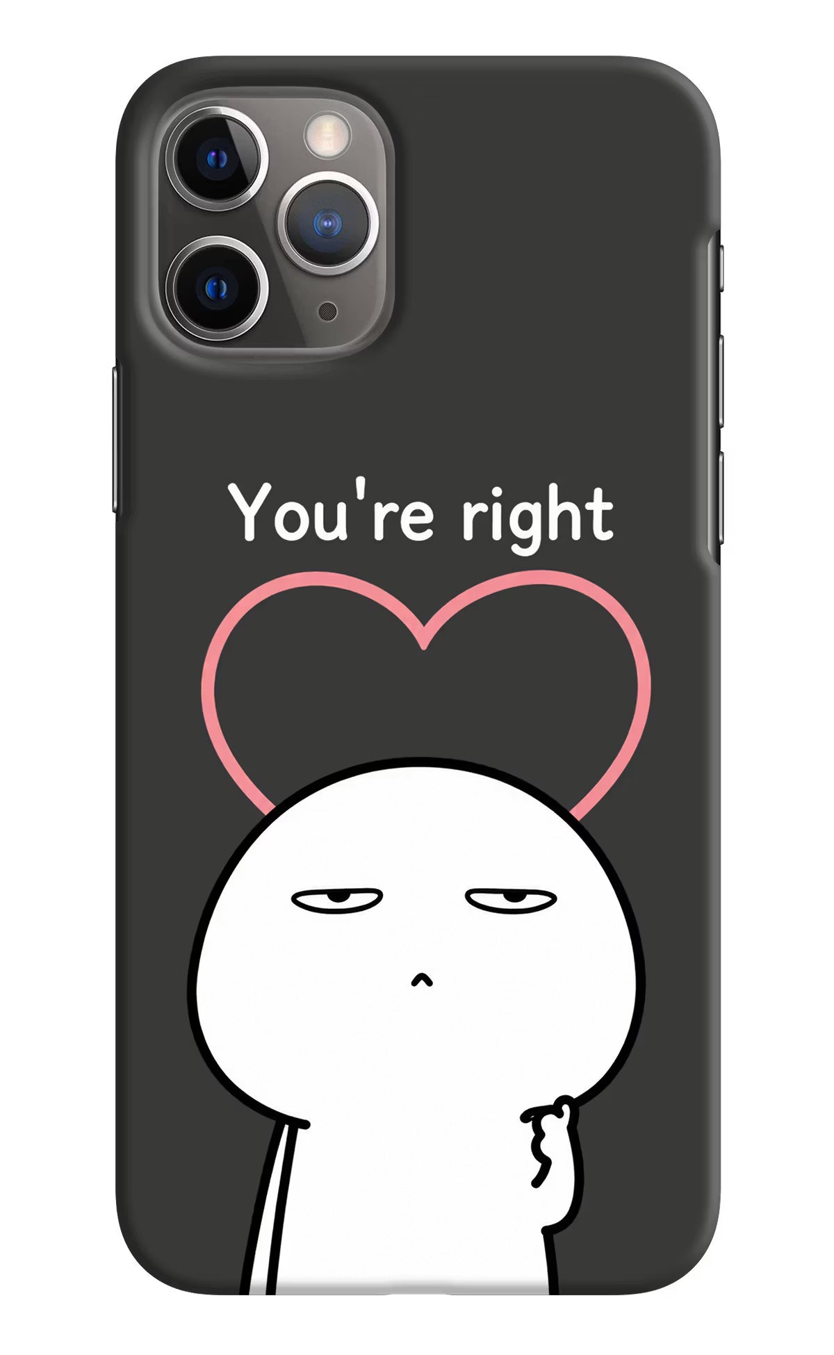 You're Right iPhone 11 Pro Back Cover
