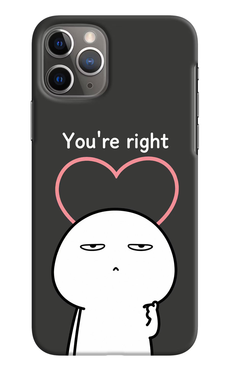 You're Right iPhone 11 Pro Back Cover, Hard case