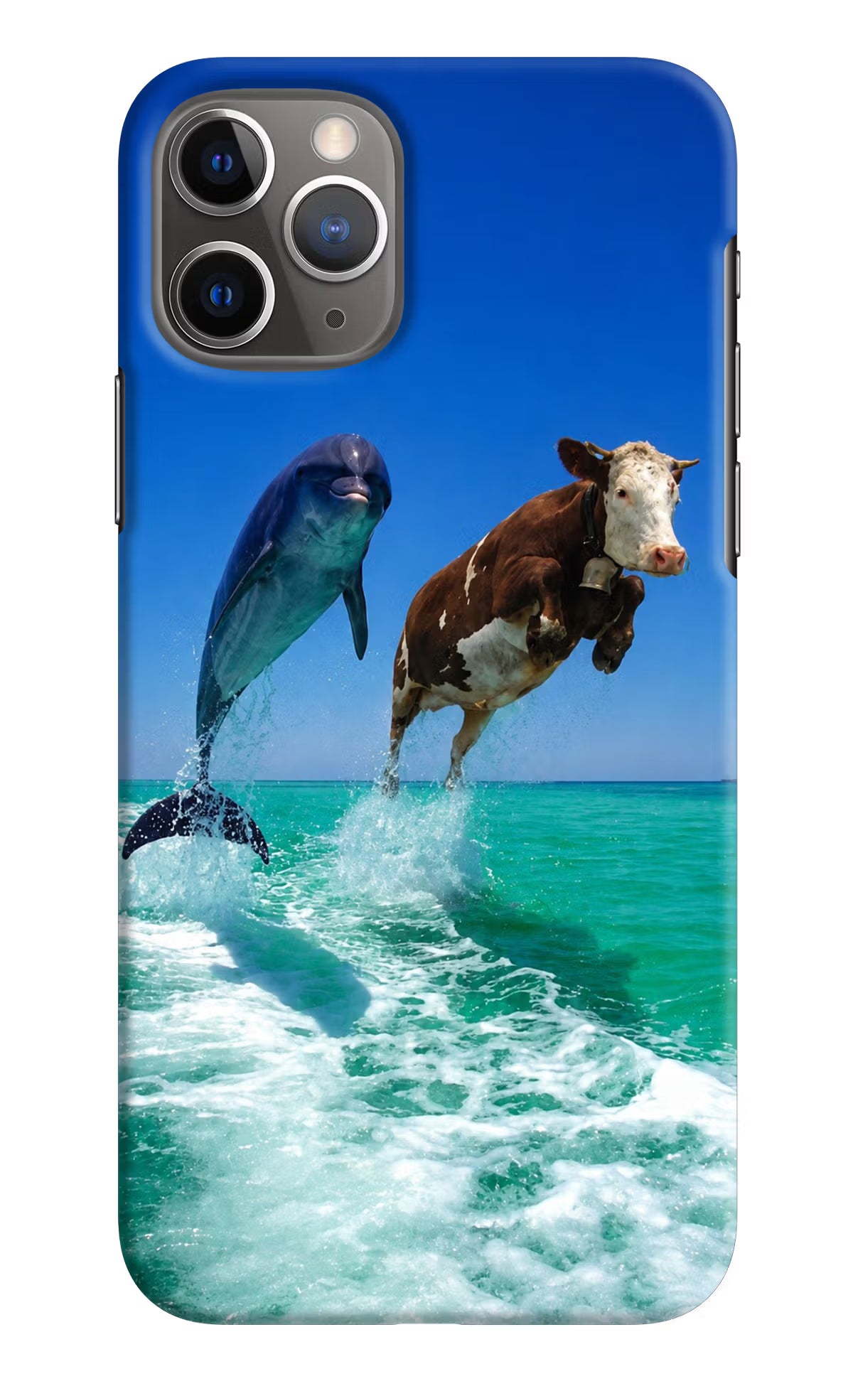 Dolphin vs Cow iPhone 11 Pro Back Cover
