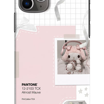 Pantone Asthetic iPhone 11 Pro Max Hard Case Back Cover by Casekaro