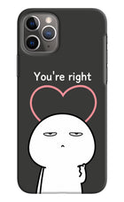 You're Right iPhone 11 Pro Max Hard Case Back Cover by Casekaro