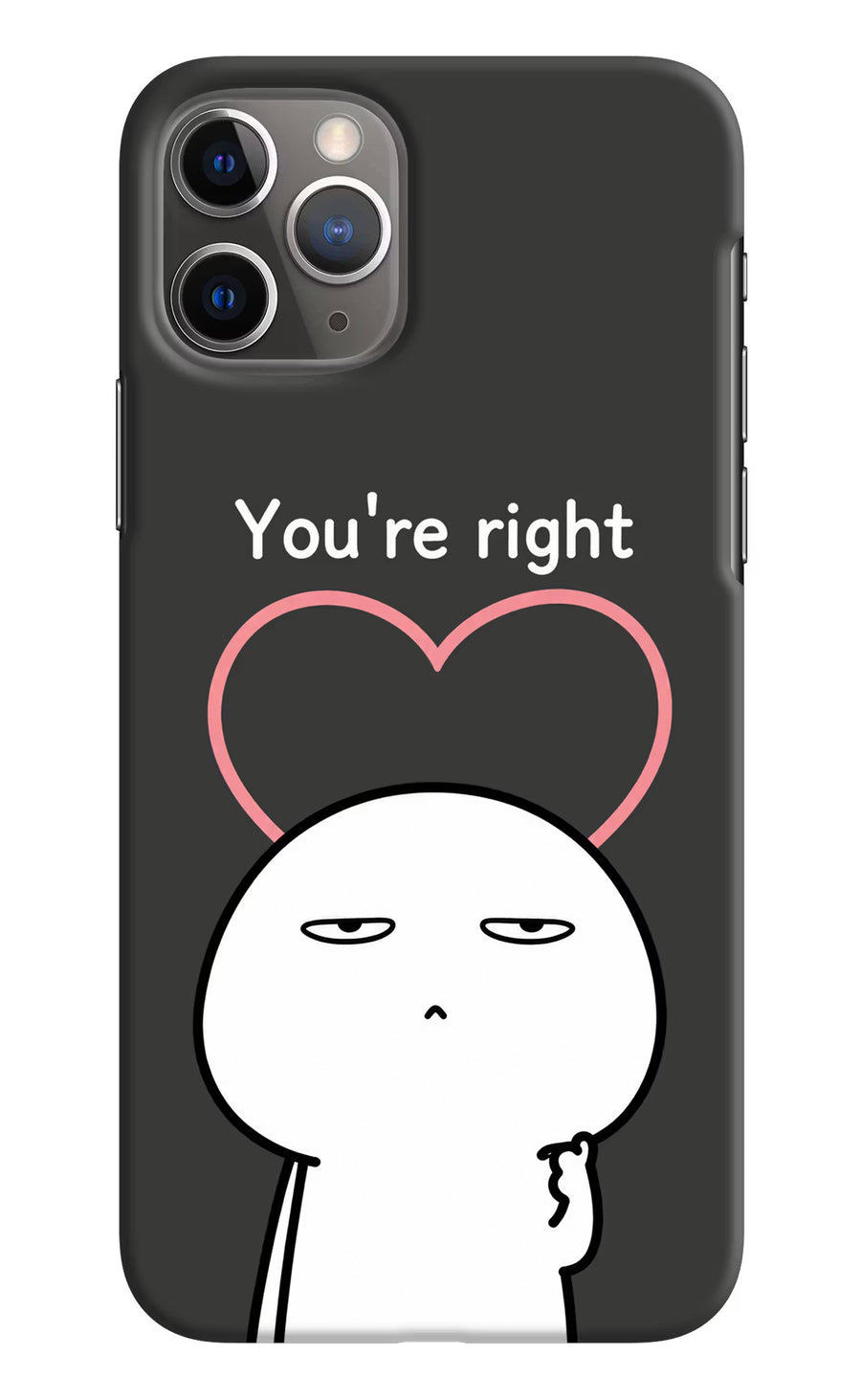 You're Right iPhone 11 Pro Max Back Cover, Hard case