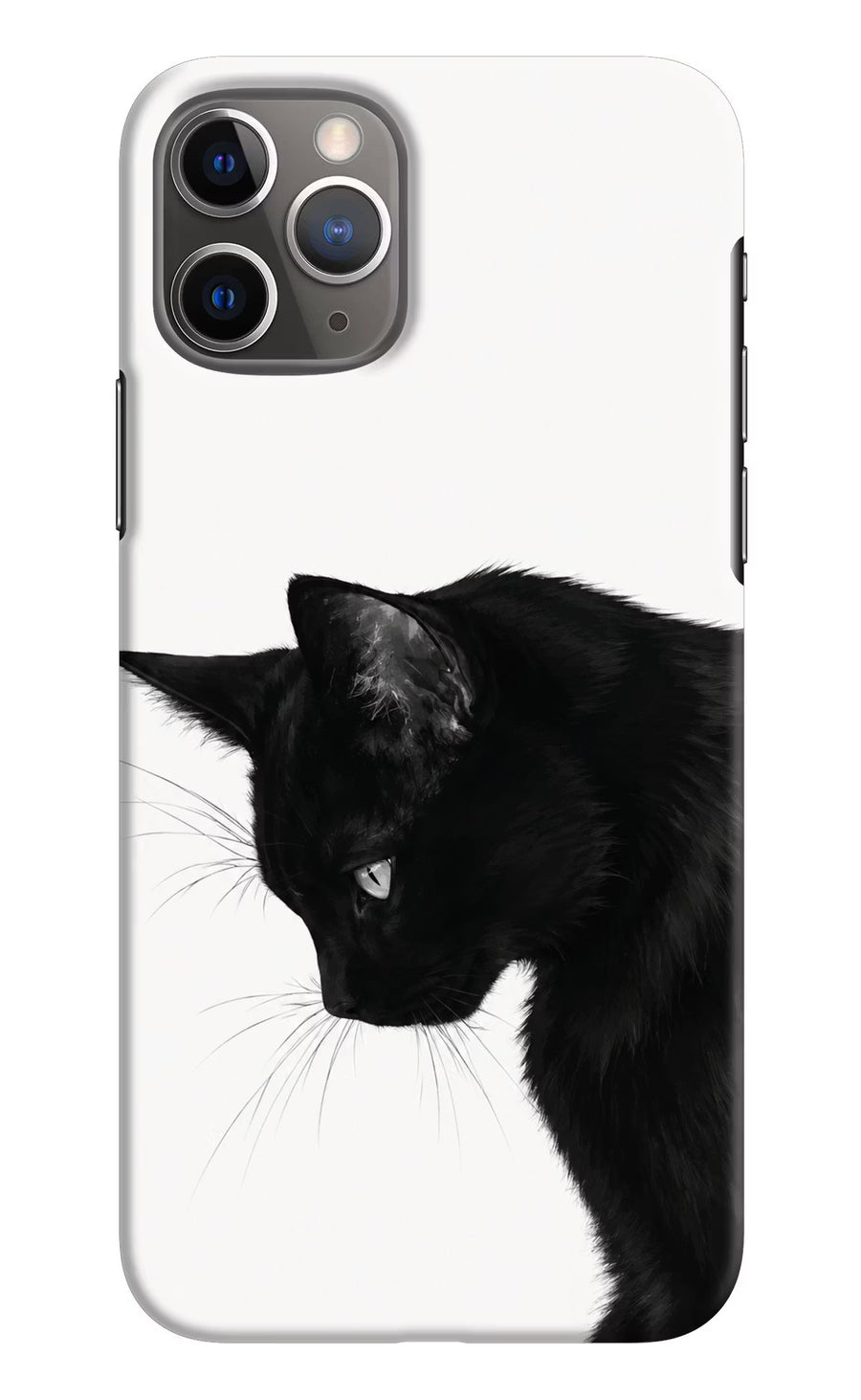 Shadow Gaze iPhone 11 Pro Max Back Cover, Hard case