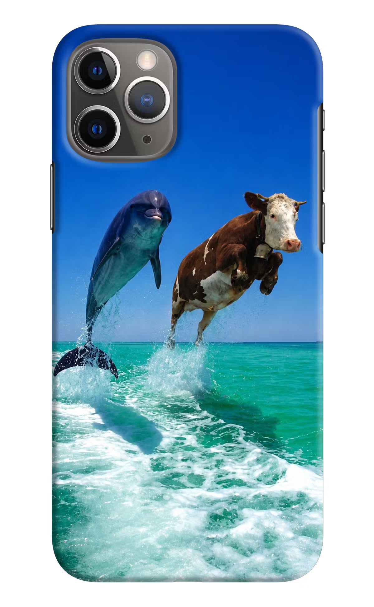 Dolphin vs Cow iPhone 11 Pro Max Back Cover