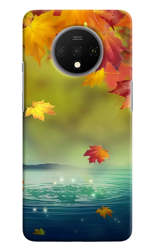 Flowers Oneplus 7T Hard Case Back Cover by Casekaro