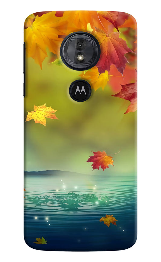Flowers Moto G6 Play Hard Case Back Cover by Casekaro