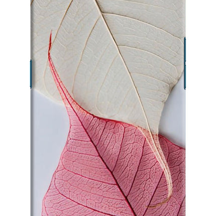 White Pink Leaf Oppo Find X Hard Case Back Cover by Casekaro