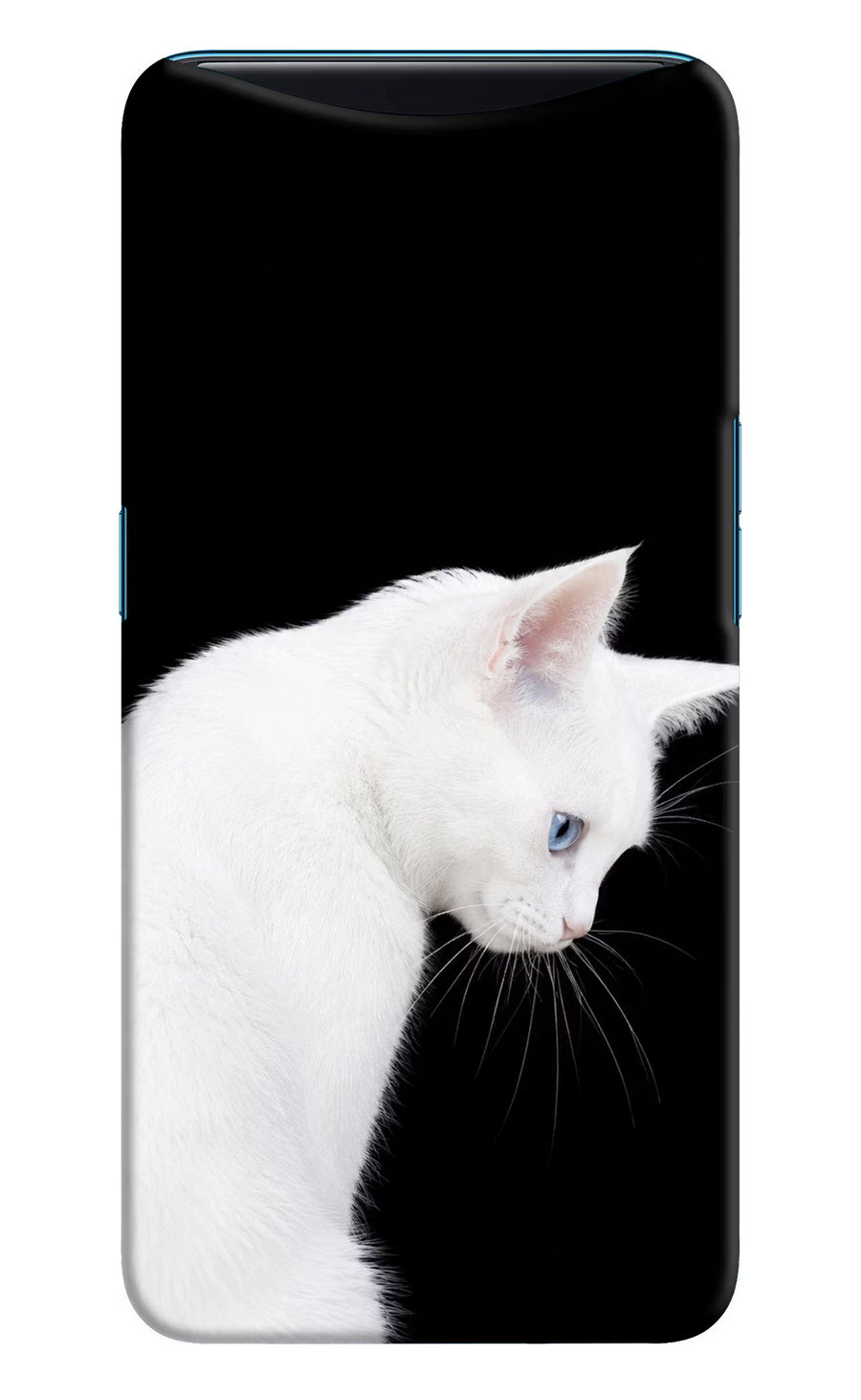 Snow Gaze Oppo Find X Back Cover, Hard case